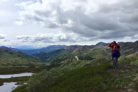Denali: Guided Walking Tour in Denali National Park