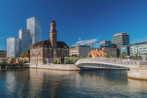 Copenhague : excursion d'une journée à Malmö avec déjeuner suédois