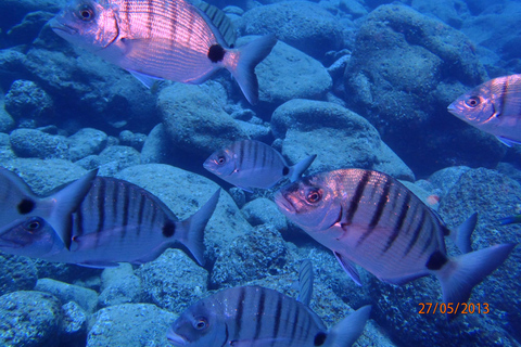 From Chania: Scuba Diving for Beginners