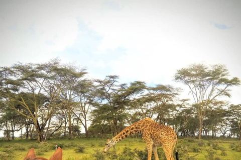 Nairobi: Horseback Safari and Lake Naivasha Boat Ride