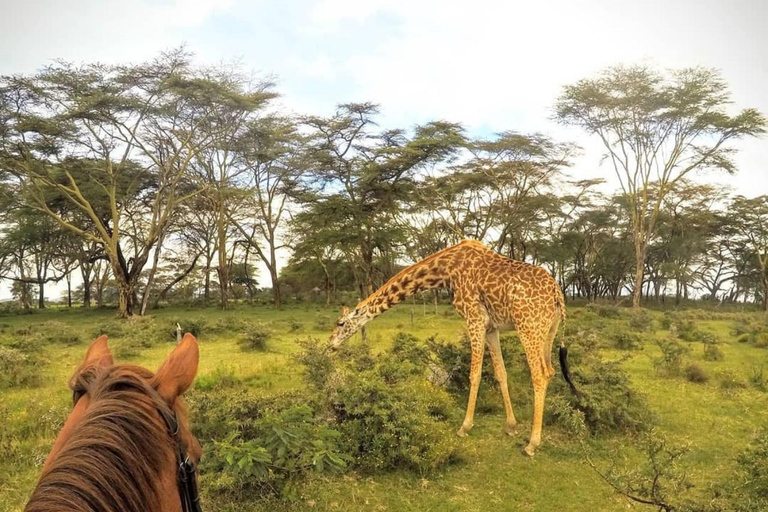 Nairobi: Horseback Safari and Lake Naivasha Boat Ride