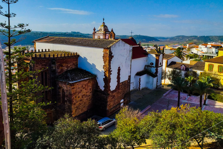 Desde Lagos: tour de cata de vinos de 4 horas para grupos pequeños