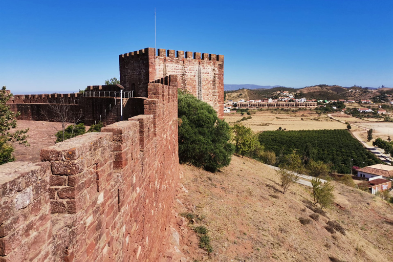 Desde Lagos: tour de cata de vinos de 4 horas para grupos pequeños