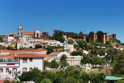 Desde Lagos: tour de cata de vinos de 4 horas para grupos pequeños