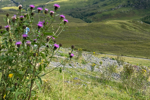 From Edinburgh: Glenfinnan, Fort William and Highland Cows