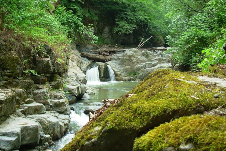 From Baku: Lankaran, Lerik, and Astara 2-Day Tour