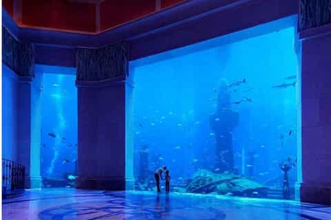 Magical Dubai 8-Hour Tour with Burj Khalifa Experience