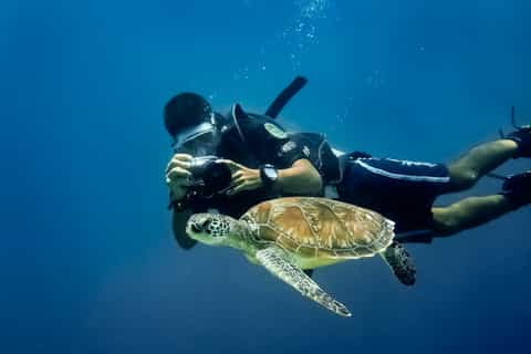 Hurghada: Diving or Snorkeling Boat Tour with Lunch & Drinks