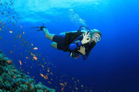 Hurghada: Full-Day Diving Tour with Lunch & Two Dive Sites