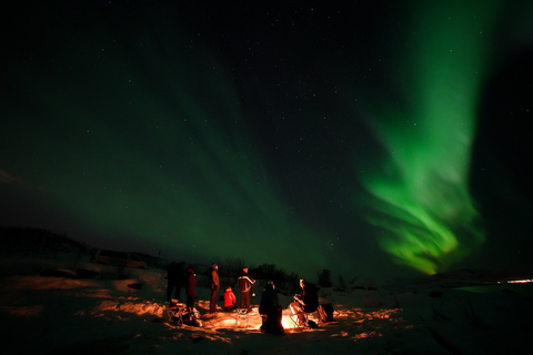 Tromsö: Norrskenstur med gratis professionellt porträttTromsø: Norrskenstur med gratis professionellt porträtt