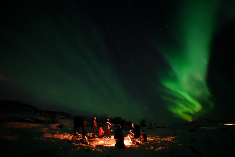 Tromsø: Noorderlicht Tour met gratis professioneel portret