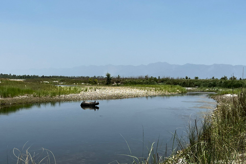 3 nachten 4 dagen Chitwan National Park met torennachtverblijf