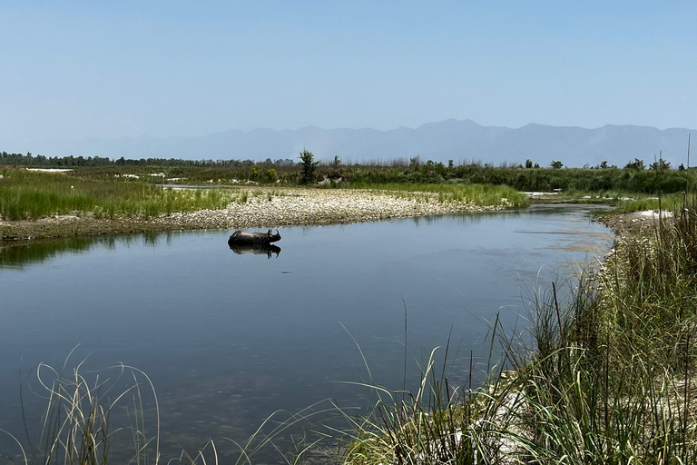 3 nachten 4 dagen Chitwan National Park met torennachtverblijf