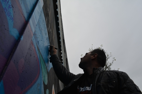 Belfast: tour privado de famosos murales