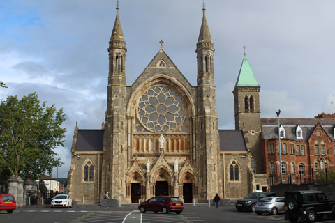 Belfast: Private Tour zu berühmten Wandgemälden