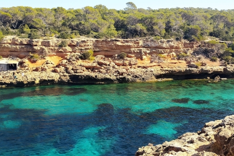 Ibiza: Schiffstour mit Schnorcheln, SUP, Strand & HöhlenGruppentour