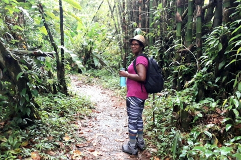 Hiking Adventure Through Grand E'tang RainForest Hiking Adventure Through Grand E'tang Rainforest