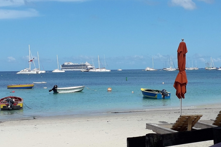 Grenada: Tag am Strand mit Shuttle-Service
