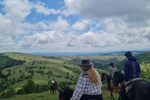 From Belgrade: 6-Day Šumadija Trail Horseback Riding Tour