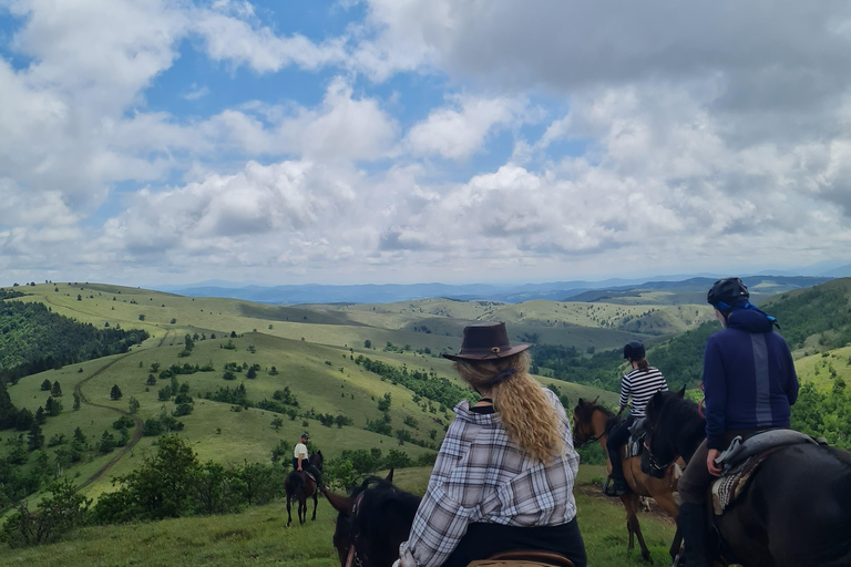 From Belgrade: 6-Day Šumadija Trail Horseback Riding Tour
