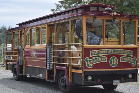 Ketchikan: Totem Pole, Wildlife & City Trolley Tour
