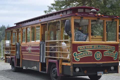Ketchikan: Totem Pole, Wildlife & City Trolley Tour