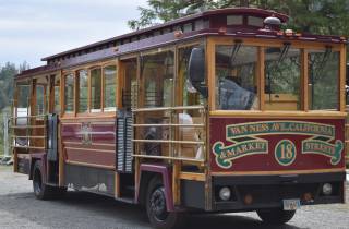 Ketchikan: Totempfahl, Wildtiere und Trolley-Tour durch die Stadt