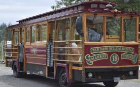 Ketchikan: Totem Pole, Wildlife & City Trolley Tour