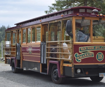 Ketchikan: Totem Pole, Wildlife & City Trolley Tour