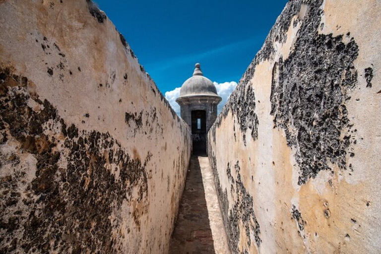 San Juan : visite à pied avec guide expert