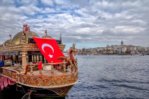 Estambul: tour privado personalizado con guía y transporte