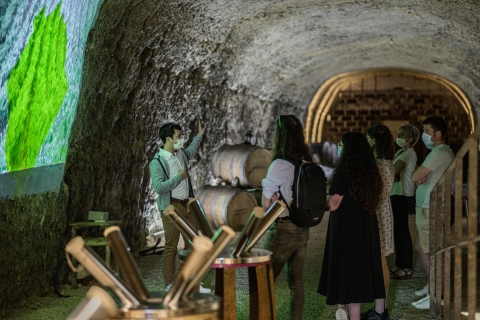 Amboise: visita a las cuevas de Ambacia y degustación de vinosAmboise: visita a las cuevas Duhard y cata de vinos en francés