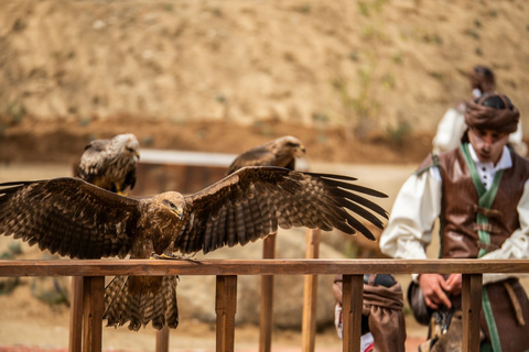 Toledo: Bilet wstępu do Puy du Fou España