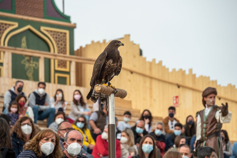 Tolède : billet d&#039;entrée au Puy du Fou España