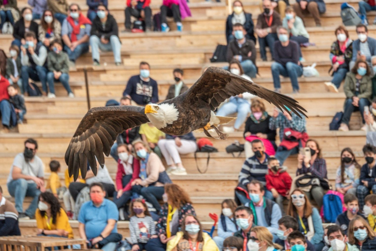 Toledo: Bilet wstępu do Puy du Fou España