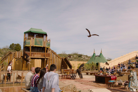 Toledo: Puy du Fou España Inträdesbiljett