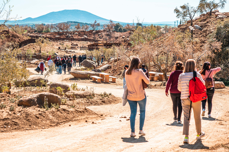 Tolède : billet d&#039;entrée au Puy du Fou España