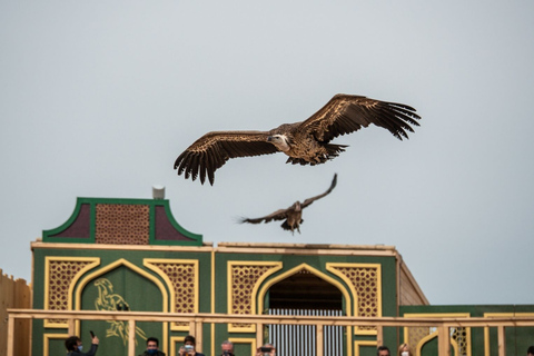 Toledo: Puy du Fou España i wpis "El Sueño de Toledo"Bilet wstępu do parku i klasyczne miejsce siedzące