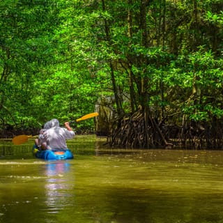 From San Jose: 3-Day Tortuguero National Park Excursion