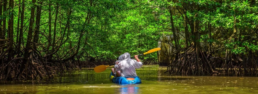 Depuis San José : Excursion de 3 jours dans le parc national de Tortuguero