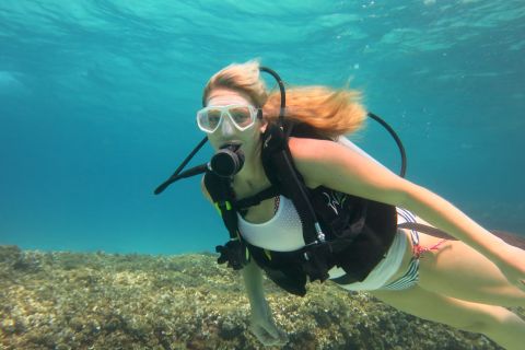 Majorka: nurkowanie w morskim rezerwacie przyrody