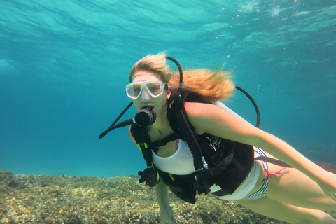 Mallorca: buceo en una preciosa reserva natural