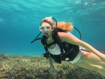 Mallorca: Tauch-Schnupperkurs in einem Naturschutzgebiet Mallorca: Tauch-Schnupperkurs in einem Naturschutzgebiet