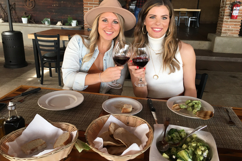 From San Diego: Valle de Guadalupe Private Wine Tasting Tour