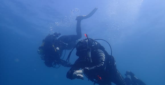 Albufeira: 2 DIVES TRIP (ONLY CERTIFIED DIVERS)