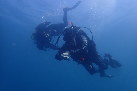 Albufeira: Certyfikowani nurkowie SCUBA Diving w 2 miejscach nurkowych
