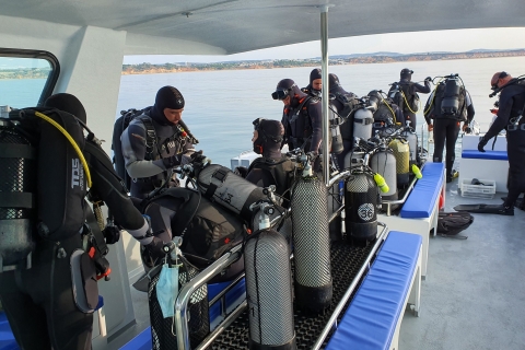 Albufeira: gecertificeerde duikers SCUBA-duiken op 2 duiklocaties