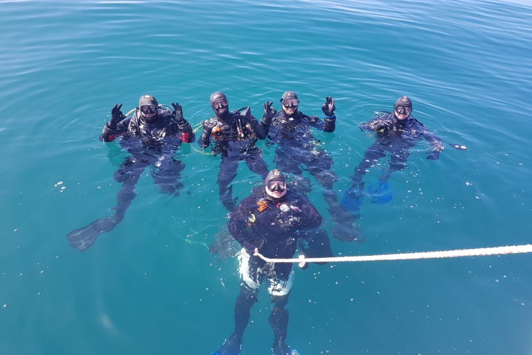 Albufeira: Zertifizierte Taucher SCUBA Diving an 2 Tauchplätzen