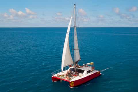 Tongarra: All-Inclusive Day Sail