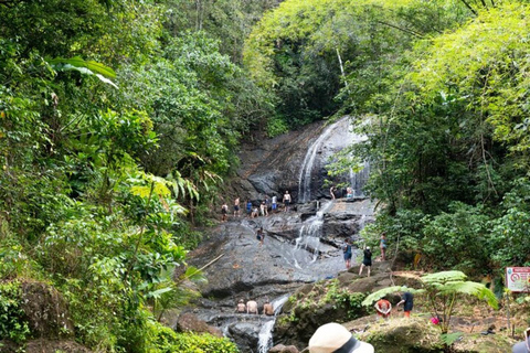 Sainte-Lucie : Randonnée dans la forêt tropicale et safari dans les cascades